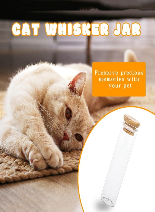 Klmnop 2 Pack Cat Whisker Jar, Transparent Glass Cat Whisker Vase with Sealed Bamboo Lid, Cat Whisker Collector Cat Whisker Holder Loss of Cat Sympathy Gift(Clear) - Image 4